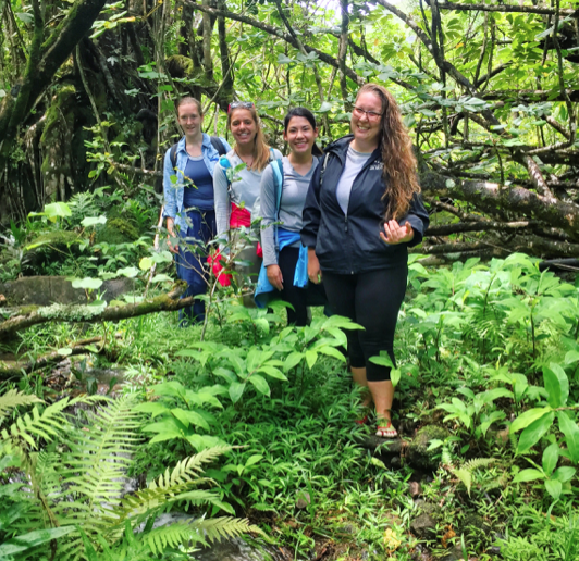 4 people in a dense green forest