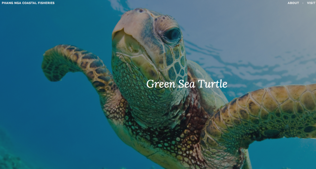 photo of turtle underwater with words and navigation at top of screen