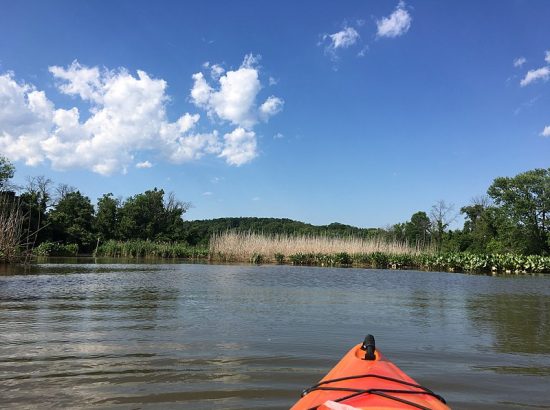 view from canoe on river