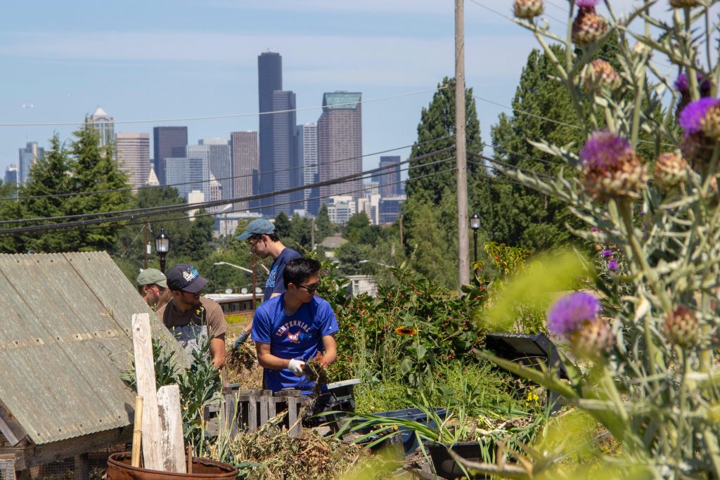 The view of Downtown Seattle from the Beacon Food Forest (Photo credit: Lara Breitkreutz)