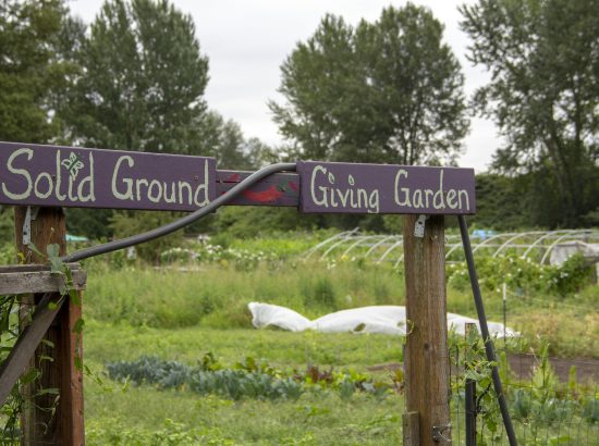 Entrance to the Solid Ground Giving Garden, a community education initiative at Marra Farm.