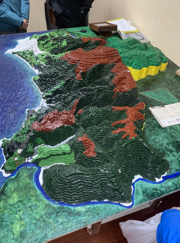 Diorama of the Alerces Costero National Park. Each color represents an area of the park inhabited by a specific tree species.
