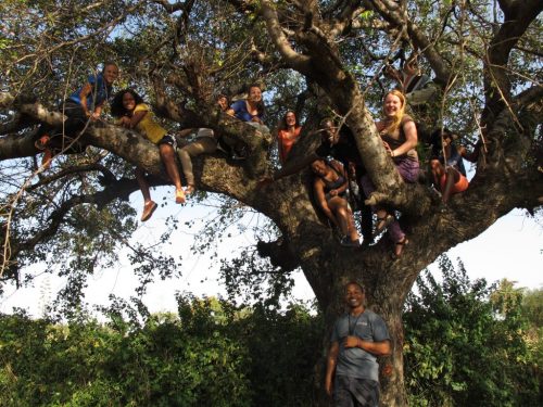 Students in tree