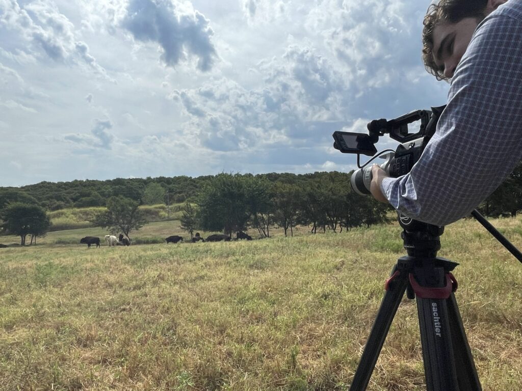 A man points a camera at buffalo in the distance