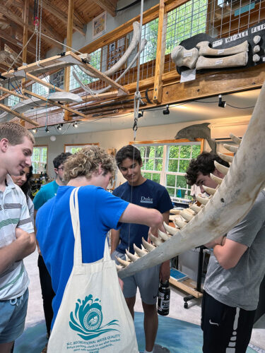 Students in a museum look at a whale skeleton