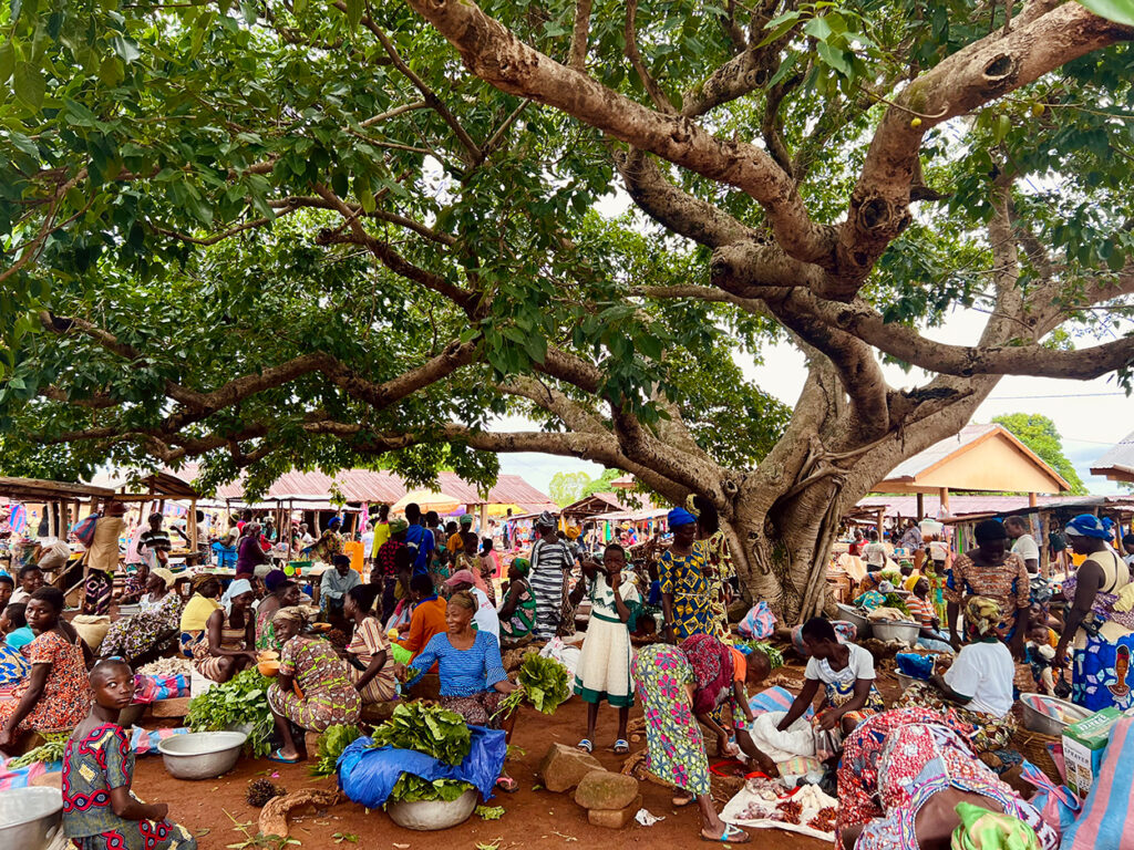 A bustling market in Togo with a large tree in the center.