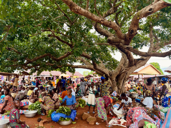 A bustling market in Togo with a large tree in the center.